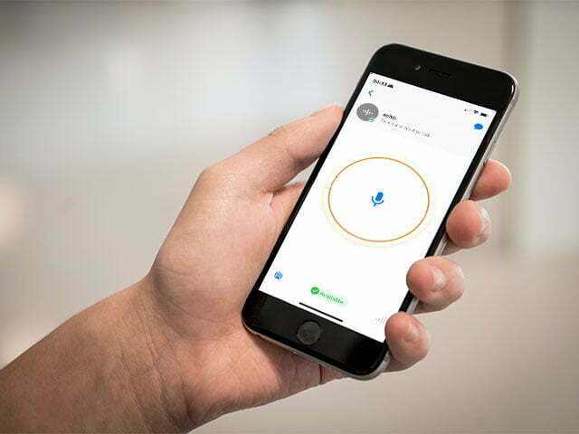 zello app