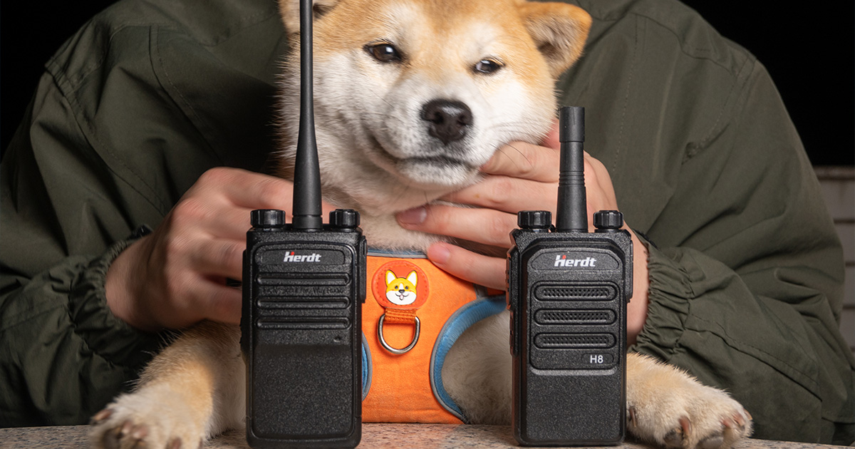o guia definitivo para escolher um walkie talkie de longo alcance